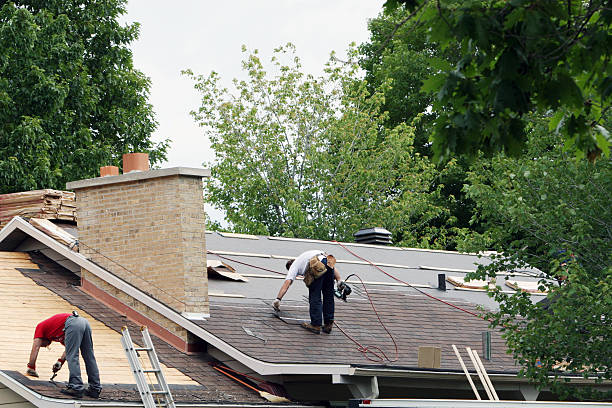 Best Storm Damage Roof Repair  in Stone Ridge, VA