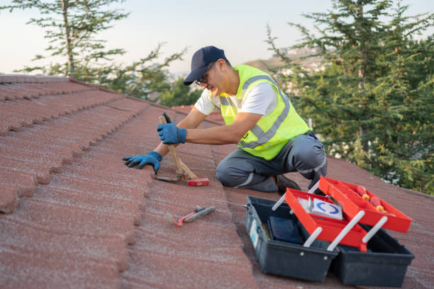 Professional Roofing Contractor in Stone Ridge, VA