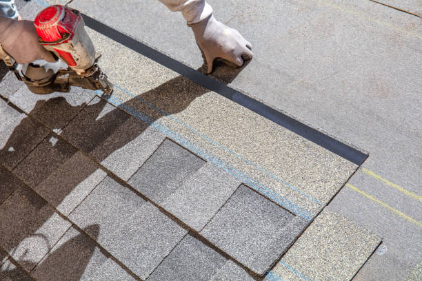 Best Metal Roofing Contractor  in Stone Ridge, VA